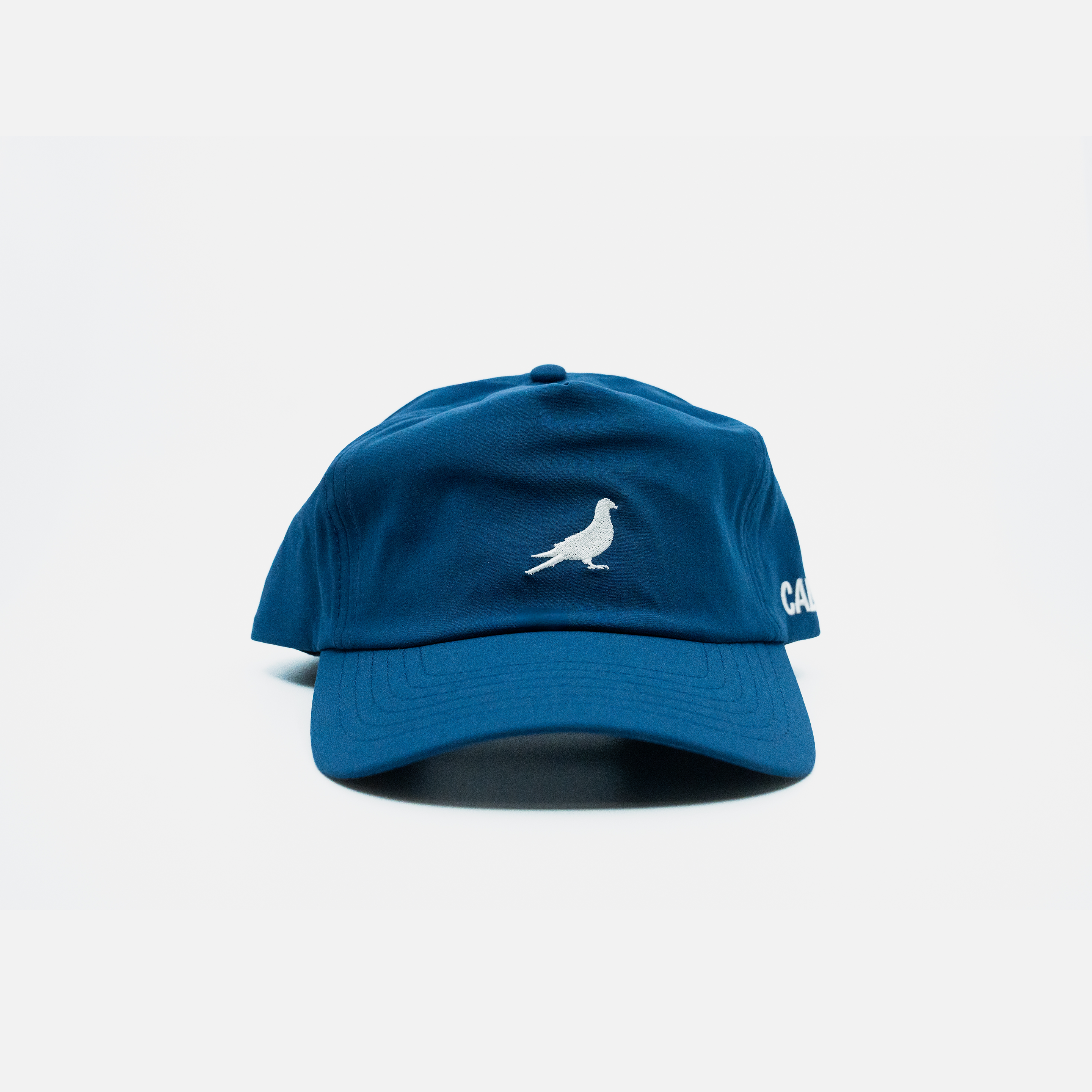 Embroidered Pigeon Hat - Blue