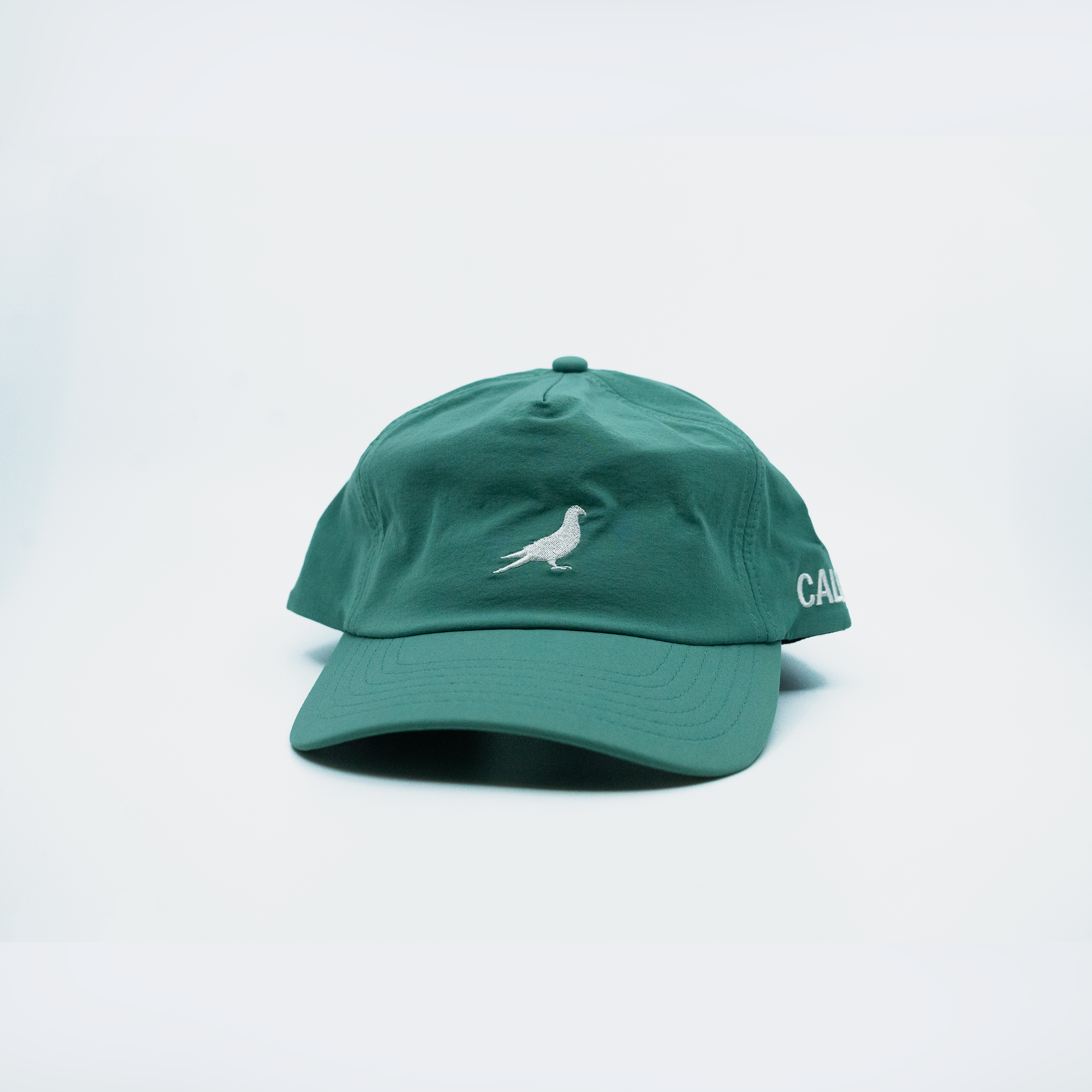 Embroidered Pigeon Hat - Teal