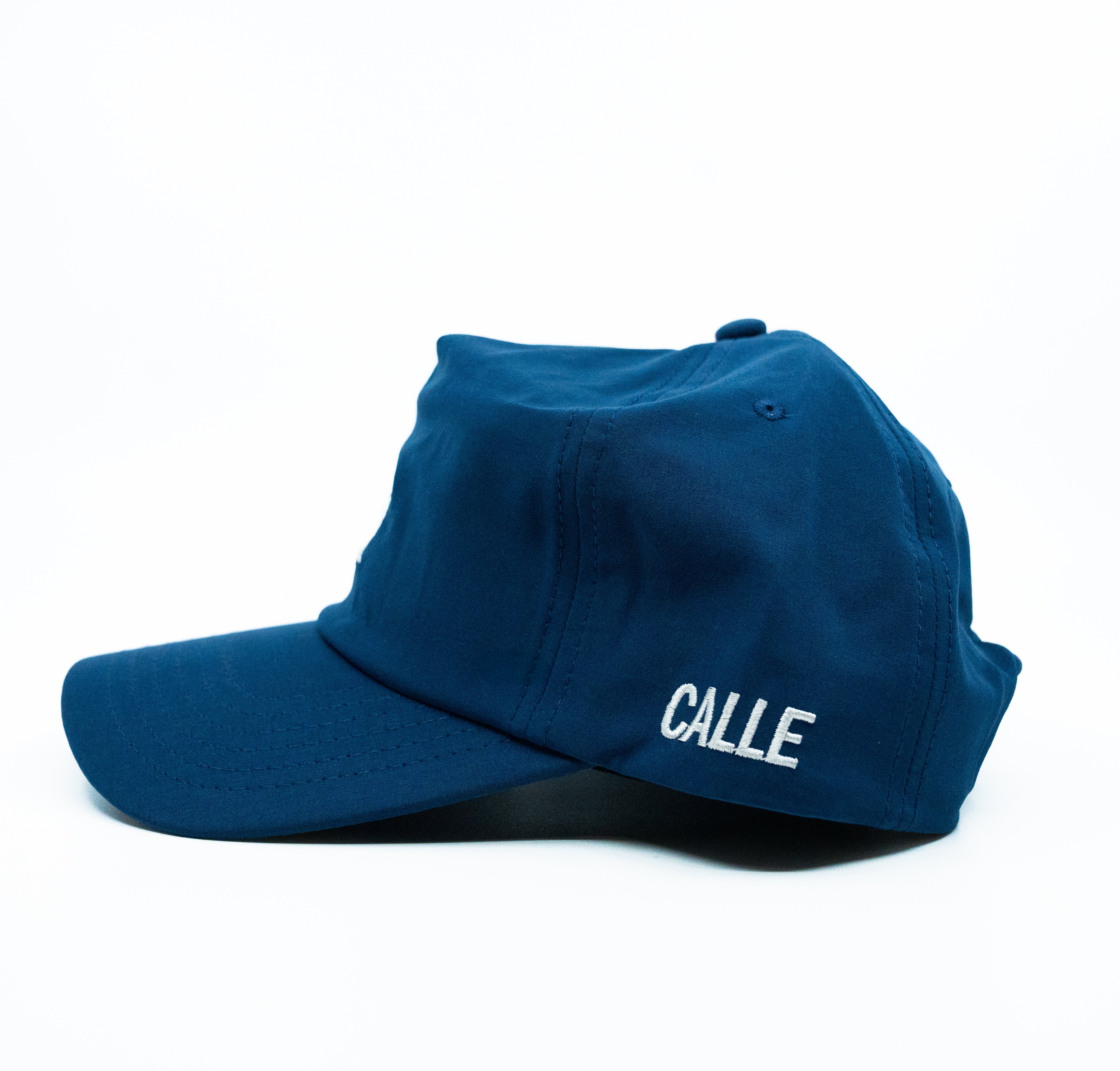 Embroidered Pigeon Hat - Blue