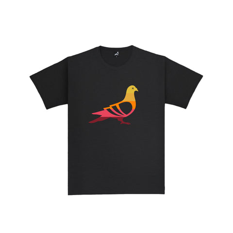 Sunset Pigeonazo