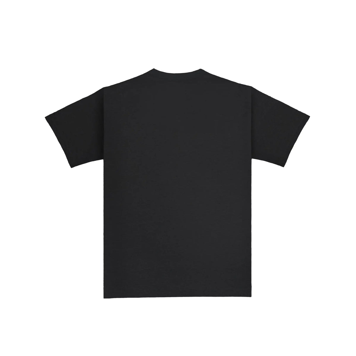 Black Tee Pigeonazo Calle