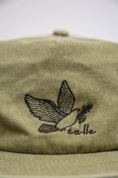 We Come in Peace Hat - Green