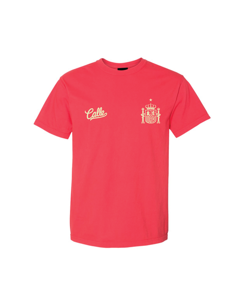 Spain "Unofficial" World Cup Tee