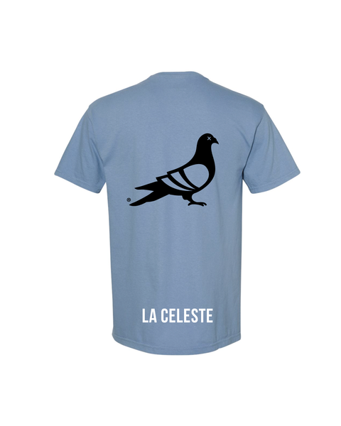 Uruguay "Unofficial" World Cup Tee