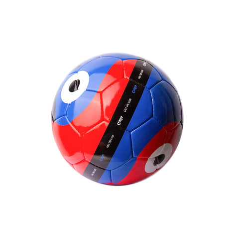Yin-Yang Soccer Ball