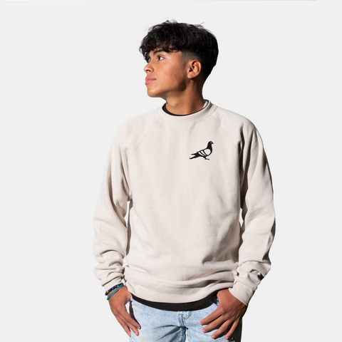 Return of the Pigeon Crew