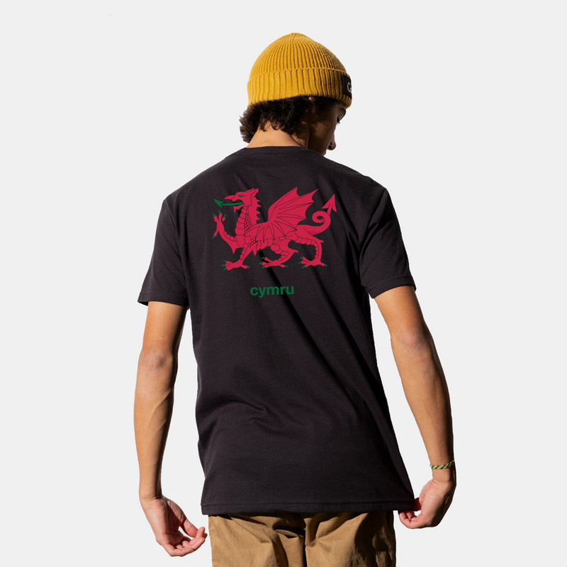 "Unofficial" Wales Tee